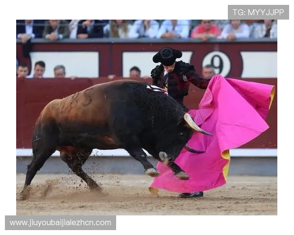 全面解析真人斗牛网址大全,助你轻松掌握最新最火的斗牛玩法技巧 全面解析真人斗牛网址大全,助你轻松掌握最新最火的斗牛玩法技巧