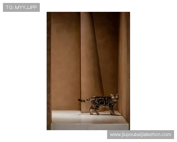 最新百家乐电脑版官方下载渠道，确保游戏安全无病毒