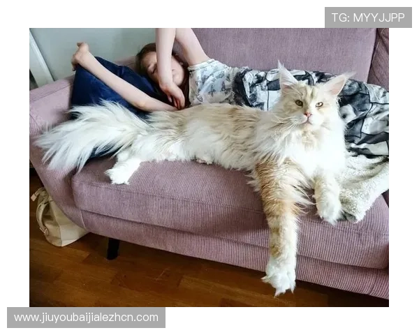 猫真人小说txt电子书免费下载网站大全，安全稳定的下载平台推荐